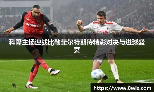 九游体育.九游体育官网入口
