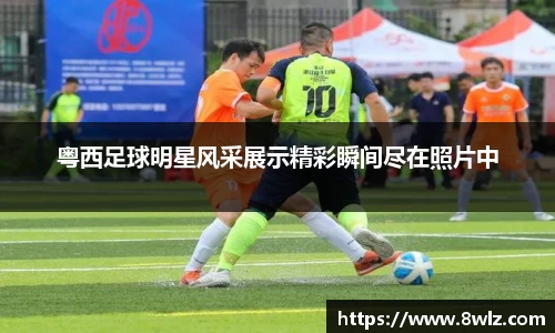 九游体育.九游体育官网入口