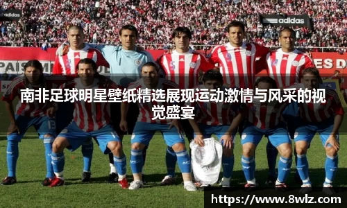 南非足球明星壁纸精选展现运动激情与风采的视觉盛宴